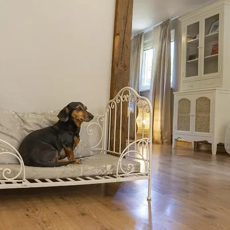 Pure Jagst, Traum-lage Am Fluss Mit Kaminzimmer Und Infrarot-waermekabine