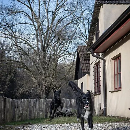 Pure Jagst, Traum-lage Am Fluss Mit Kaminzimmer Und Infrarot-waermekabine Casa vacanze