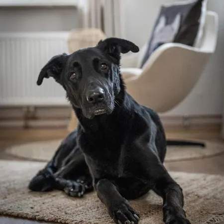 Pure Jagst, Traum-lage Am Fluss Mit Kaminzimmer Und Infrarot-waermekabine * Rindenmoos