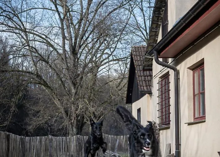 Pure Jagst, Traum-lage Am Fluss Mit Kaminzimmer Und Infrarot-waermekabine Сasa de vacaciones