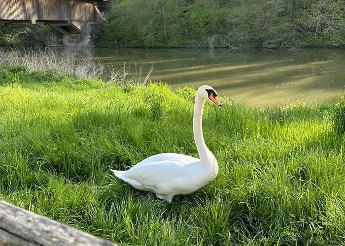 Pure Jagst, Traum-lage Am Fluss Mit Kaminzimmer Und Infrarot-waermekabine